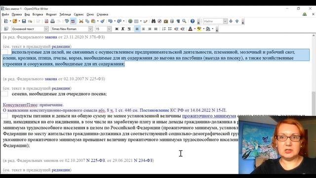 Какое Имущество ИП Не Заберут За Долги?