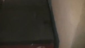 печка длятельного горения ЗЕВС