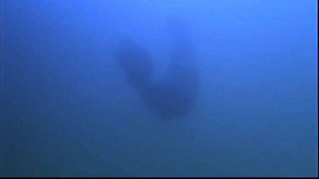 ПЕРЕСКАЗ _ДЕКСТЕР_ (1 СЕЗОН) ЗА 18 МИНУТ смотреть онлайн