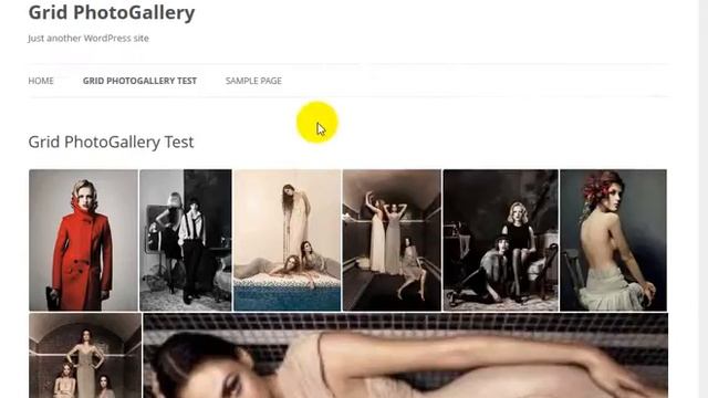 How to setup Grid PhotoGallery in wordpress