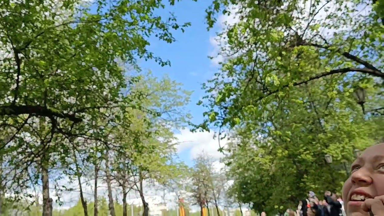 смотреть до конца в конце самолёты и вертолёты смотреть онлайн