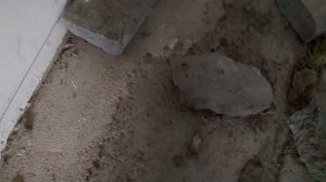 Стяжка полусухая и классическая эксперимент