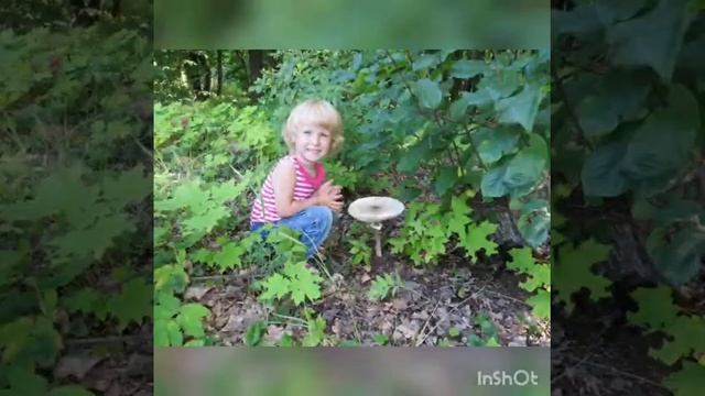 Консультация для родителей: «Безопасность ребенка летом»