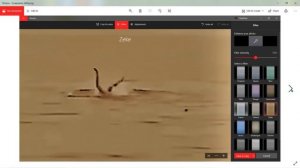 Part 1. Vladimir Popov, a detailed analysis of a horrific shark attack. Rip Vladimir..