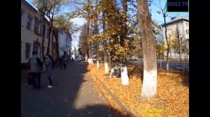 Хабаровск-Биробиджан на пригородном поезде, обзор Биробиджана