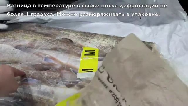 Дефростер радиочастотный для разморозки рыбы, мяса, птицы и прочих продуктов