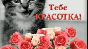 Каролина с днем рождения ))