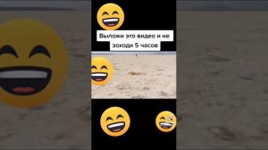 король лев /мем