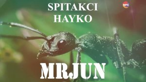 Spitakci Hayko - Mrjun | Армянская музыка
