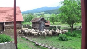 Село Кремна в Сербии: сельское хозяйство, быт, тракторы, рабочая мастерская