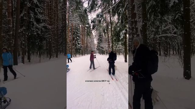 Где покататься на лыжах в Москве 2023