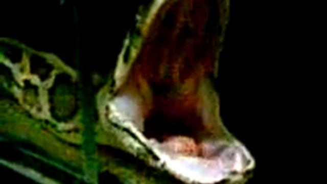 Зеваю! смотреть онлайн