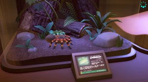 Паук-птицеед