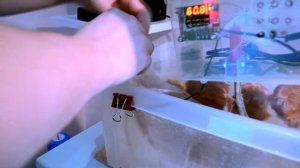Свинина в сувиде, очень нежное и сочное мясо.