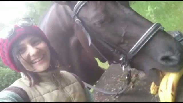 Пасмурная погода, теплые воспоминания смотреть онлайн