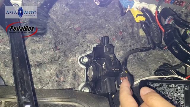 HONDA STEPWGN RP 起跑速度更快，因為有了DTE Pedalbox 優化 香港代理 亞洲汽車材料有限公司
