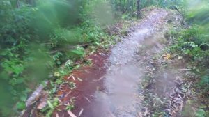 ФИЛИППИНЫ. ТРИ КРУТЫХ ВОДОПАДА ОСТРОВА БОХОЛЬ ЗА ОДИН ДЕНЬ!