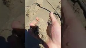 очистка скважины от песка и ила