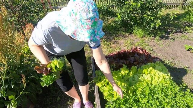 ПИКНИК на природе. Как вкусно приготовить картофель. смотреть онлайн