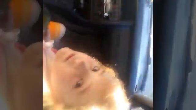 Влог (Коровья жопа, Интервью от коров) смотреть онлайн