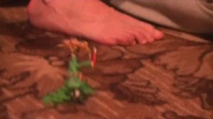 падал прошлогодний снег,, типо пластилиновая анимация,,