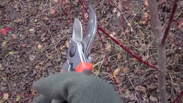 Садовый секатор - как правильно пользоваться