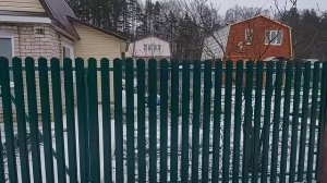 Забор из фигурного профнастила под дерево