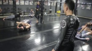 Eddie Bravo grappling pants by Datsusara