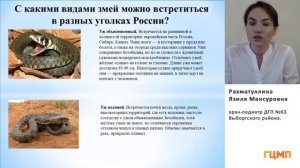 Профилактика травматизма у детей