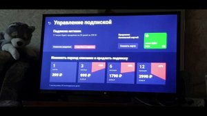 Как отключить подписку ivi на телевизоре