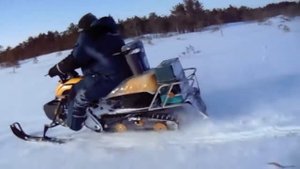 Динго Т125