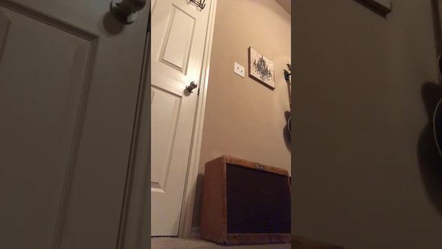 1955 Tweed Deluxe 5e3 смотреть онлайн