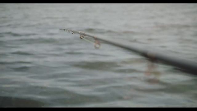 Крупные караси по 1 кг., вначале июня, клюют. смотреть онлайн