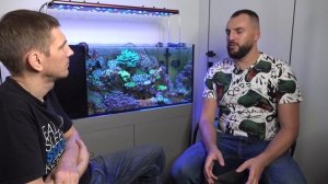 Виктор Трубицин про цианобактерии