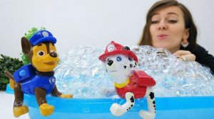 Guardería Infantil - Patrulla de cachorros en la piscina.