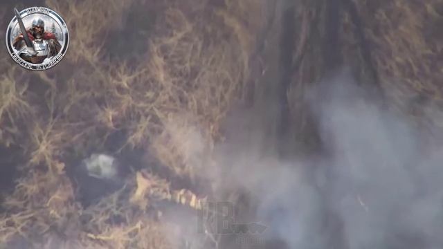 "Ланцет" "Отважных" уничтожил гаубицу ВСУшников. смотреть онлайн