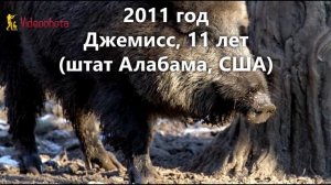 Самый БОЛЬШОЙ кабан на охоте! Videoohota