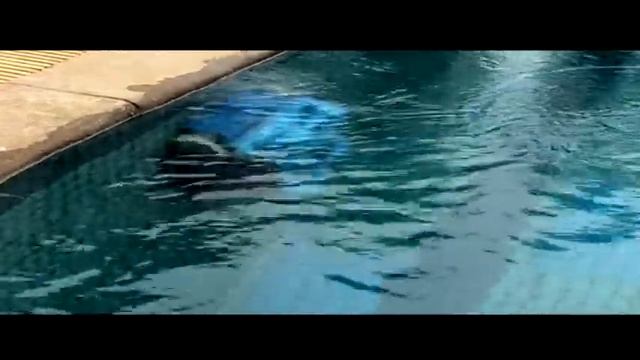 Новый улучшенный высококачественный робот пылесос для бассейна, с кабелем 15 м и тележкой caddy, смотреть онлайн