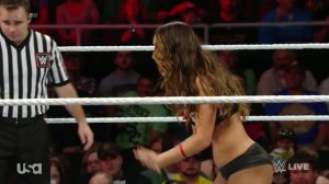 Nikki Bella vs. Brie Bella [RAW 17/11/2014]