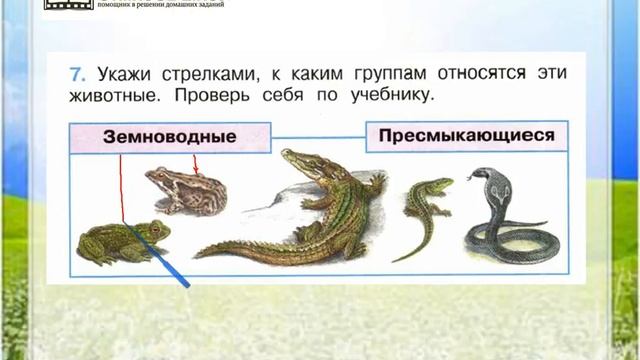 Земноводные 2 класс окружающий мир рабочая тетрадь