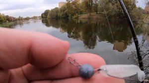 Речушка и пруд, тестирование Crazy Fish Arion ASRE 862MLS