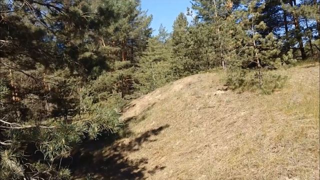 ГРИБЫ ДНЕПРА смотреть онлайн