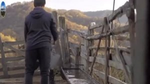 Солтан Байкулов песня Атам