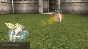 Cadmus Olympiad MAY munii (29.05.2009)