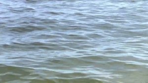 Галвестон Техас Мексиканский Залив Знакомимся с местностью