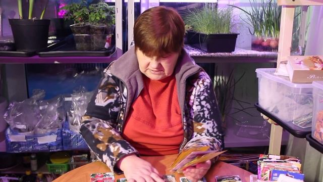 Что Посеять В Феврале. Как Посеять, Когда Посеять.