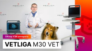 Обзор портативного УЗИ аппарата для ветеринарии VETLIGA M30Vet