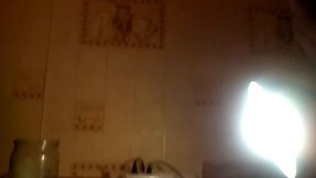 Сеем периц сладкий.Сорт перца(ласточка)в торфяные таблетки.