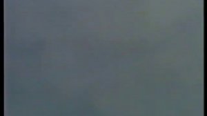 Серпасто-выворотные голуби Николая Борисовича Жуленева  г. Краснослободск