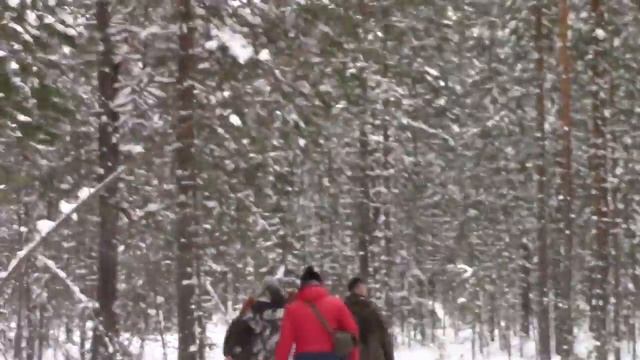 покатались по весеннему лесу 4х4 смотреть онлайн